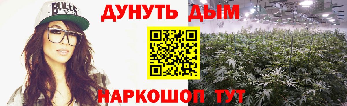 Шишки марихуана Bruce Banner  Каннабис AK-47  Канабис марихуана  Вход с VPN  Тихвин  Марихуана сатива 